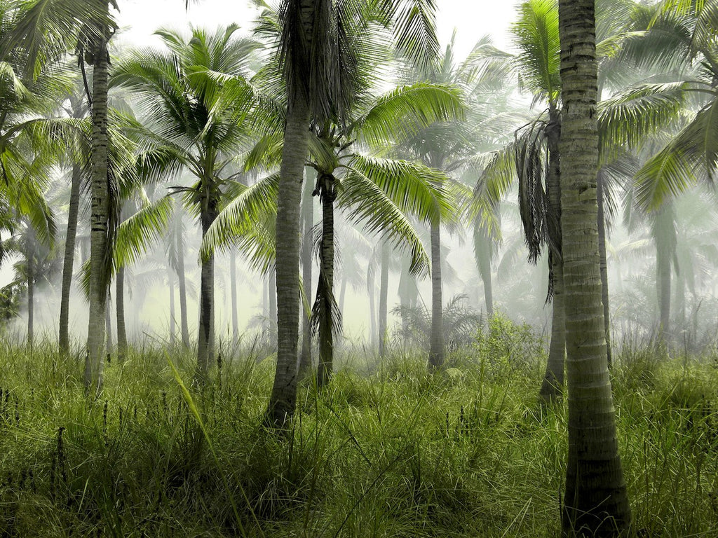At Home in Wet Weather: Finding Comfort When the Weather’s Worst