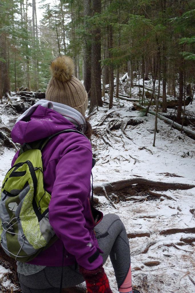 Misti - Womens Water Resistant, Wind Resistant Hooded Softshell Jacket